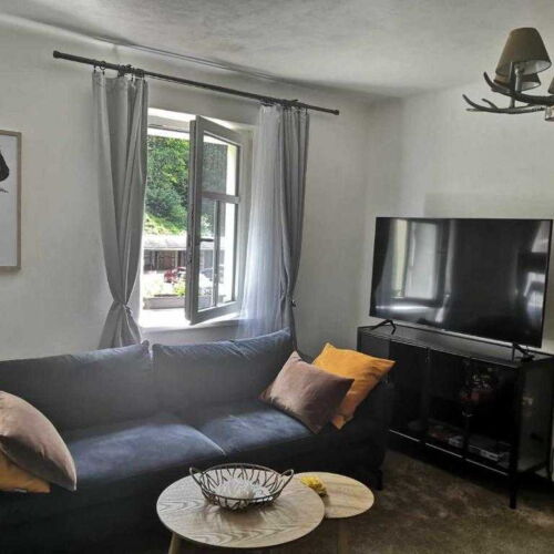 Superior apartman za 2 osoba(e) sa 1 spavaće(om) sobe(om) (mogućnost dodavanja pomoćnog kreveta)