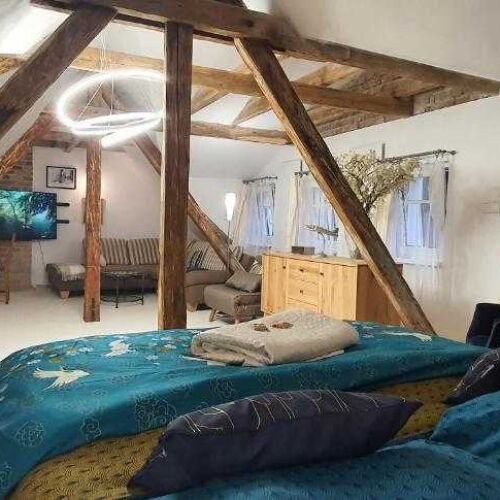 Pogled na rijeku Sa vlastitom čajnom kuhinjom apartman za 2 osoba(e) sa 1 spavaće(om) sobe(om) (mogućnost dodavanja pomoćnog kreveta)