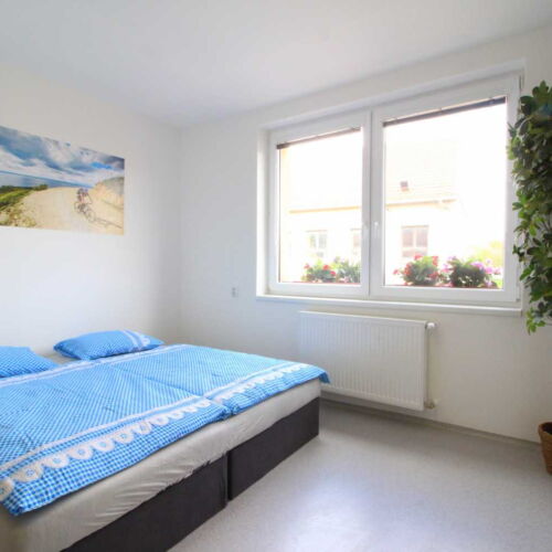 Camera twin confort cu duș