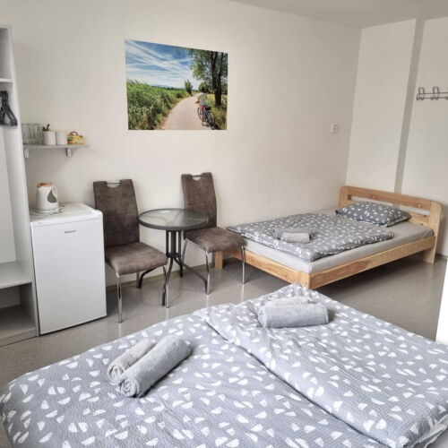 Camera tripla confort cu duș