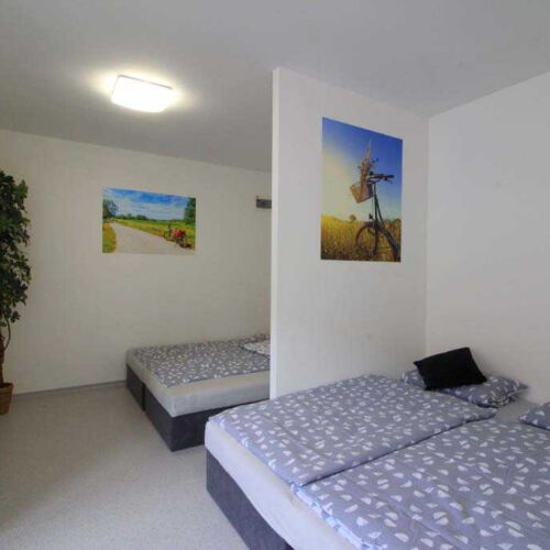 Camera cvadrupla confort cu duș