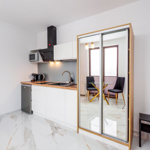 Apartament cu 1 camera pentru 2 pers.