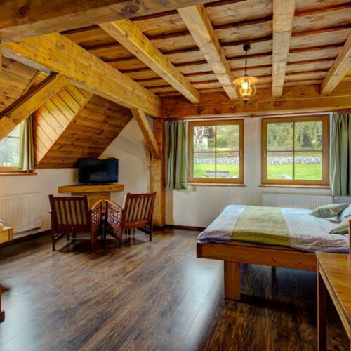 Pokoj se sprchou  pro 3 os.