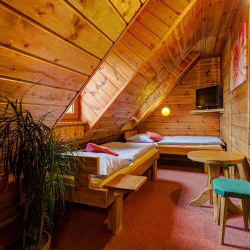 Standard Pokoj se sprchou s manželskou postelí