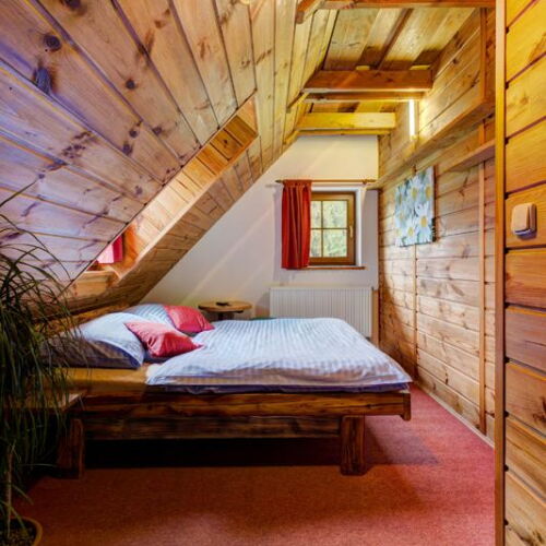 Standard Pokoj se sprchou s manželskou postelí