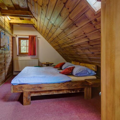 Standard Pokoj se sprchou s manželskou postelí