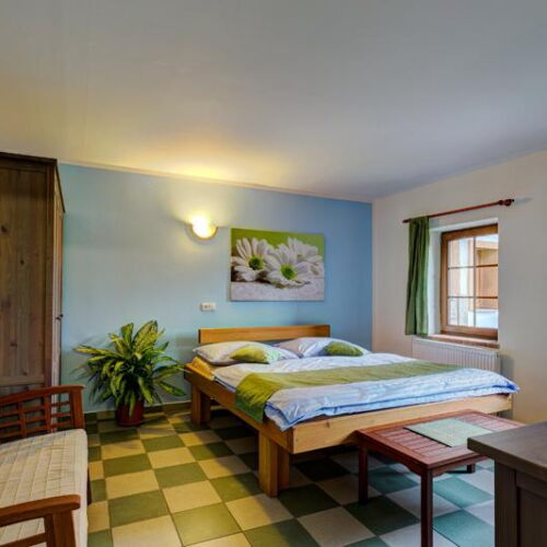 Pokoj se sprchou  s manželskou postelí