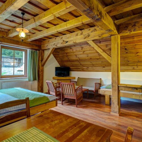 Pokoj se sprchou  pro 3 os.