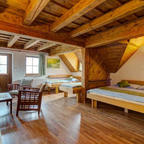 Standard Pokoj se sprchou pro 4 os.