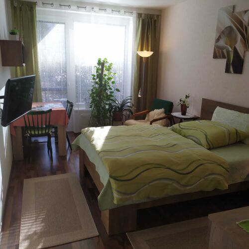 Apartament 2-osobowy Studio Economy