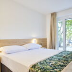 Klimatiziran Sa terasom soba sa francuskim krevetom (za 2 osoba(e))