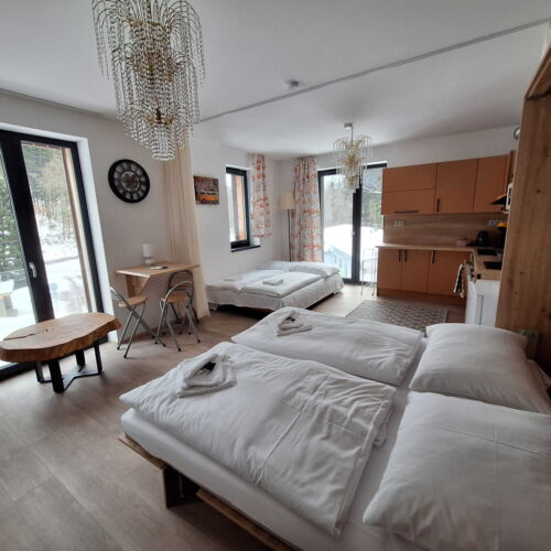 1-Room Apartment for 2 Persons (extra beds available)