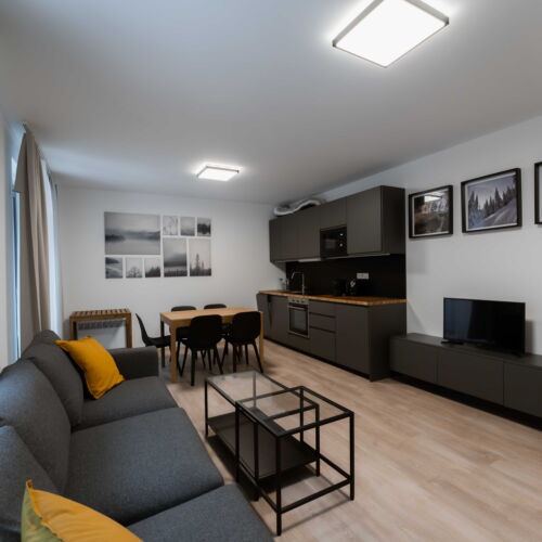1-Room Apartment for 2 Persons (extra beds available)
