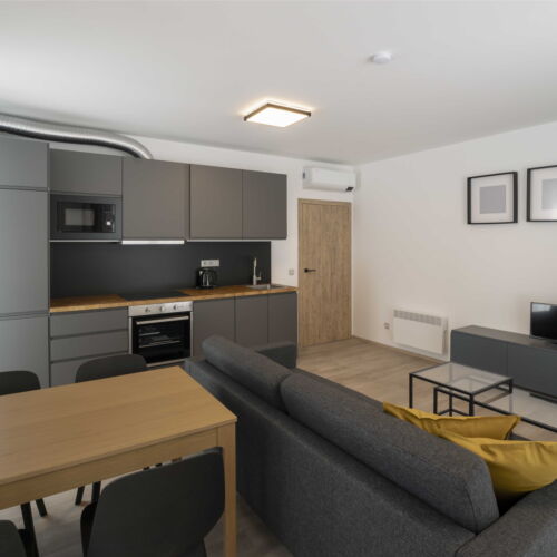 2-Room Apartment for 4 Persons (extra beds available)