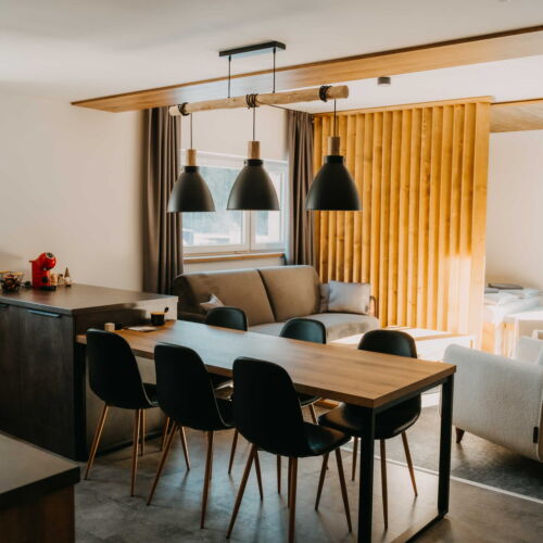 Apartman se sprchou s vlastní kuchyňkou pro 4 os. (s možností přistýlky)