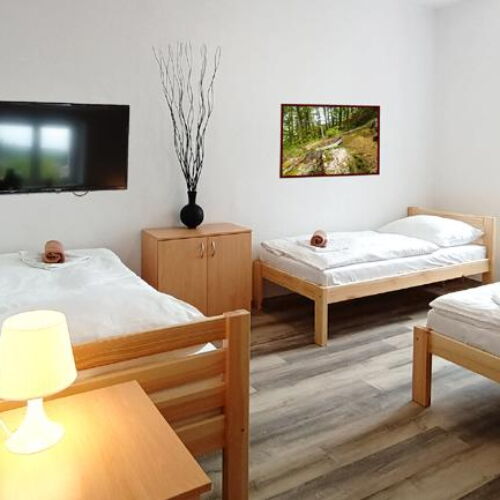 Pokoj bezbariérový pro 3 os. na přízemí