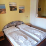 Twin Room with Shower and Terrace (extra bed available)