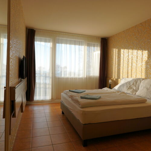 Camera dubla classic cu vedere spre lac