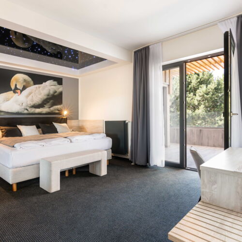 Vip Pokoj s klimatizací pro 2 os.