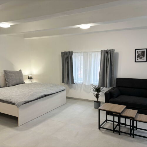 Pokój 3-osobowy ze wspólnym aneksem kuchennym