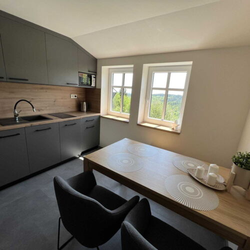 Apartman se sprchou  pro 2 os. (s možností přistýlky)