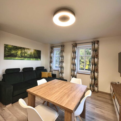 Apartman se sprchou s privátní koupelnou mimo apartmán pro 4 os. (s možností přistýlky)