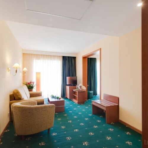 Apartament cu 1 camera pentru 3 pers.