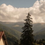 Vila Casa cu Prieteni Sinaia