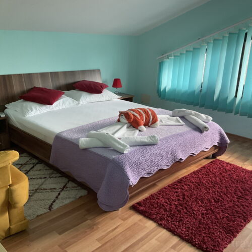 Superior  Pokoj s manželskou postelí (s možností přistýlky)