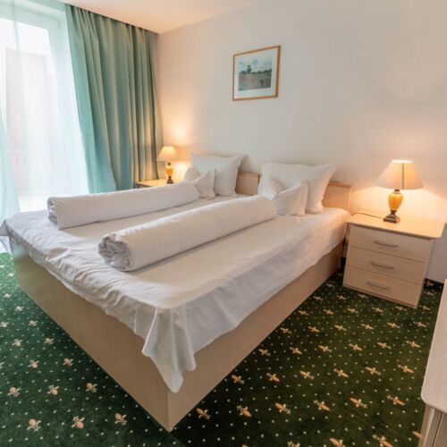 Camera twin standard