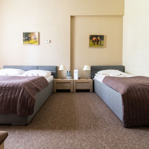 Camera tripla economy la parter