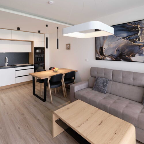 Apartament cu 1 camera pentru 2 pers. (se poate solicita pat suplimentar)