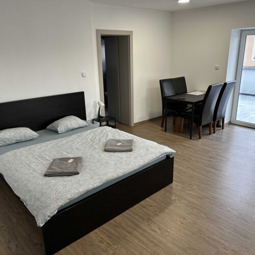 Apartament cu duș cu bucătărie proprie pentru 3 pers.