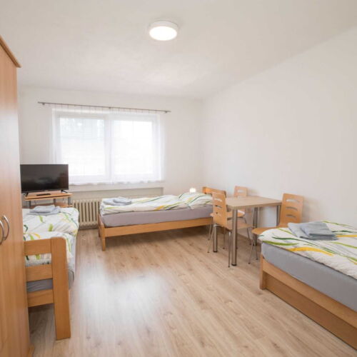 Dreibettzimmer mit Dusche