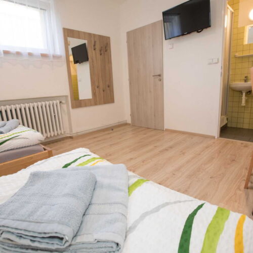 Zweibettzimmer mit Dusche