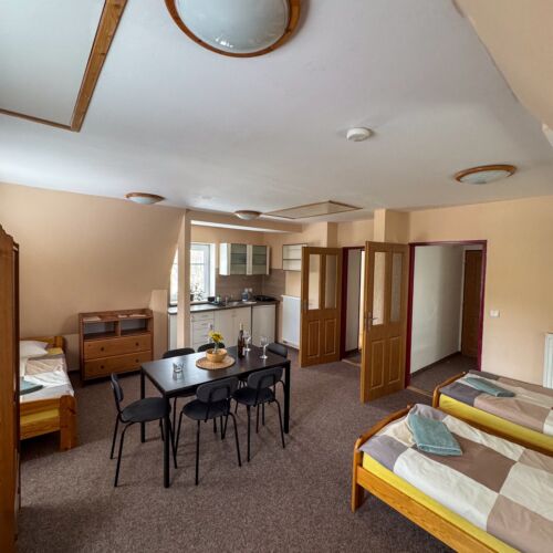 Apartament studio cu chicinetă proprie cu 1 camera pentru 3 pers.