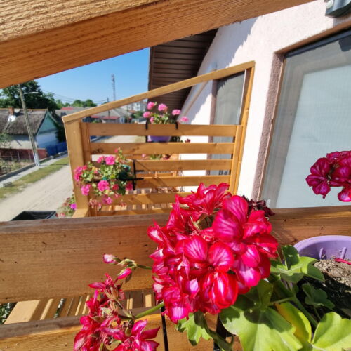 Camera dubla la etaj cu balcon