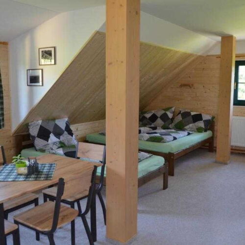 Apartman se sprchou s vlastní kuchyňkou pro 3 os. s 1 ložnicí (s možností přistýlky)