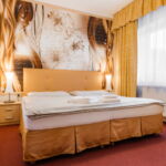 Hotel SCHWARZ Nové Hamry