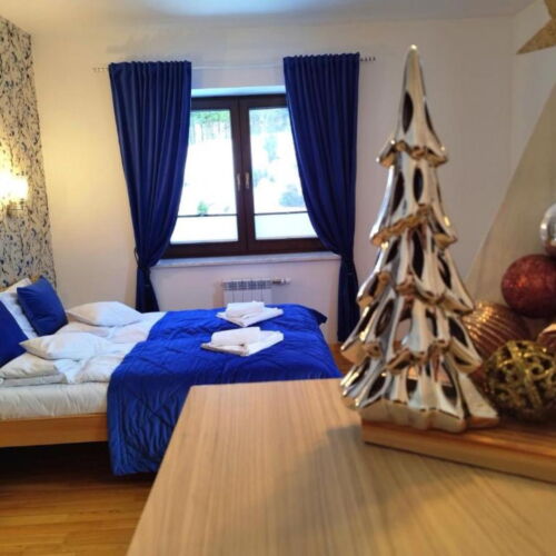 Pokoj s vlastní kuchyňkou pro 3 os. s výhledem na les