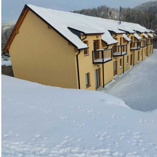 Apartament 3-osobowy z prysznicem z aneksem kuchennym z 1 pomieszczeniem sypialnianym (możliwa dostawka)