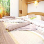 Classic Tourist 1-Room Apartment for 2 Persons