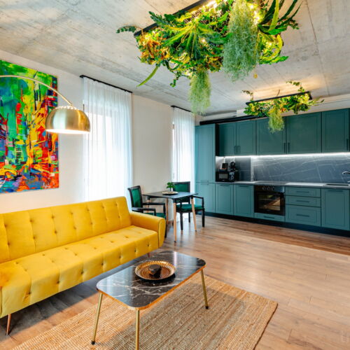 Apartament cu 1 camera pentru 2 pers.