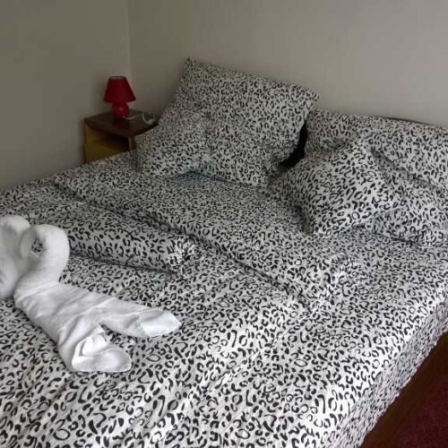 Pokoj se sprchou  pro 2 os.