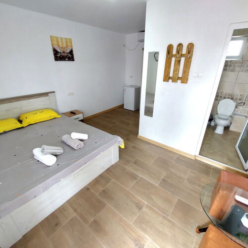 Camera dubla economy cu vedere spre grădină