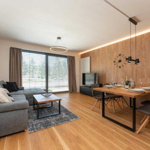 Apartament cu chicinetă proprie cu terasă pentru 7 pers. (se poate solicita pat suplimentar)