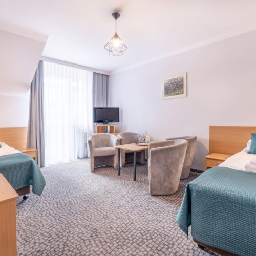 Apartament 2-osobowy z balkonem z widokiem na jezioro z 1 pomieszczeniem sypialnianym