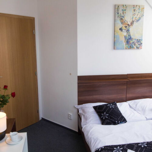 Camera tripla economy cu baie comună