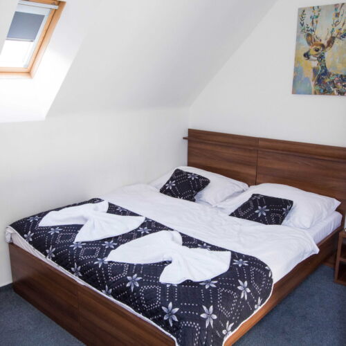 Camera tripla economy cu baie comună