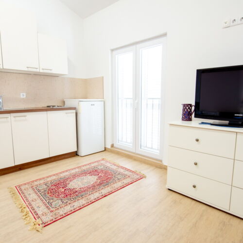 Apartament 3-osobowy Studio z widokiem na ogród z 1 pomieszczeniem sypialnianym